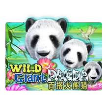 Joker123 : Wild Giant Panda - HASEAGAMING